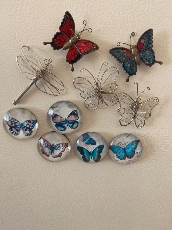 Butterfly Refrigerator