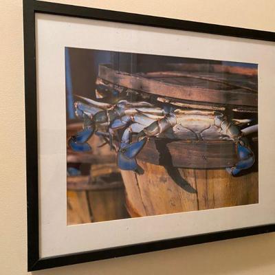 Lot #40 Lot of Two Framed Crab Photographs 