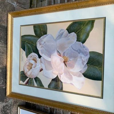 Magnolia Framed Art 