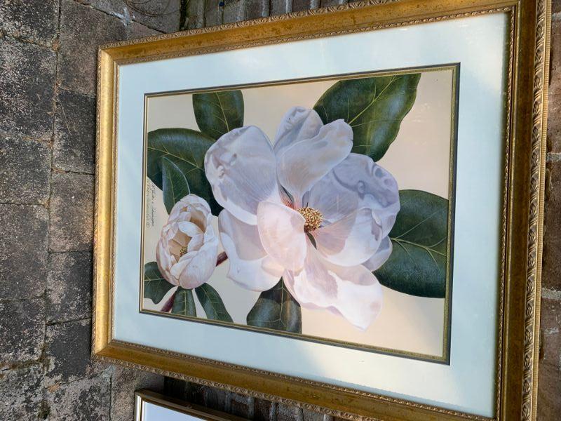 Magnolia Framed Art