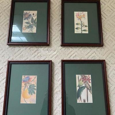 Lot #93 Set of 4 Framed Botanical Prints