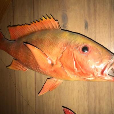 Pair of Taxidermy Red Snapper Fish 