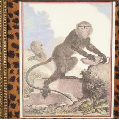 Hand Colored Engraving