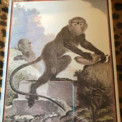 Hand Colored Engraving