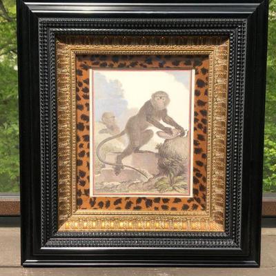 Hand Colored Engraving