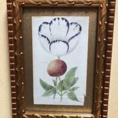 Set of 4 Botanical Engravings