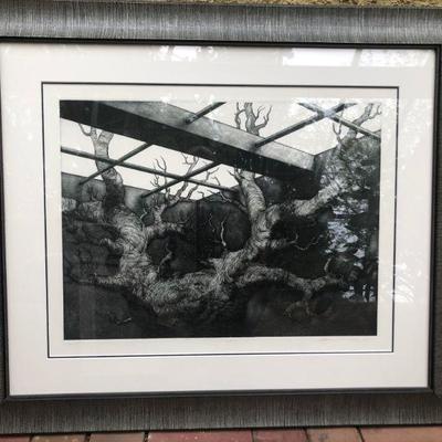 Signed Stephen O. Look Engraving