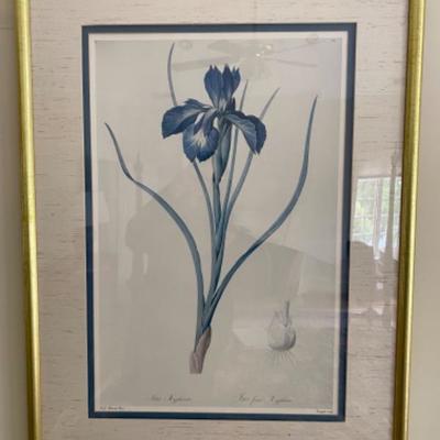 Lot # 54 Pair of Iris double matted prints 