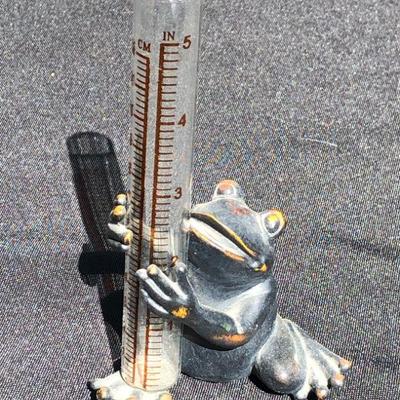 Frog Rain Gauge 