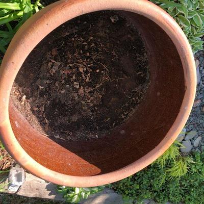 MASSIVE Terra Cotta Pot 