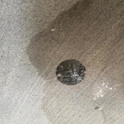 Lot # 174 Vintage ARAM Marble Cat Handle Tray w/ Nesting Tables