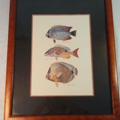 Fish print