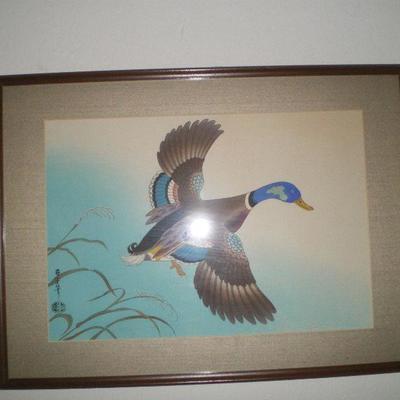 Vintage Framed  Mallard Print