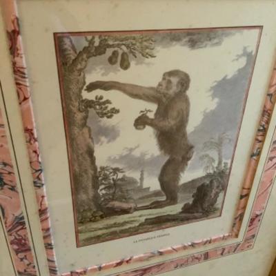 PAIR OF BEAUTIFULLY FRAMED FRENCH MONKEY PRINTS