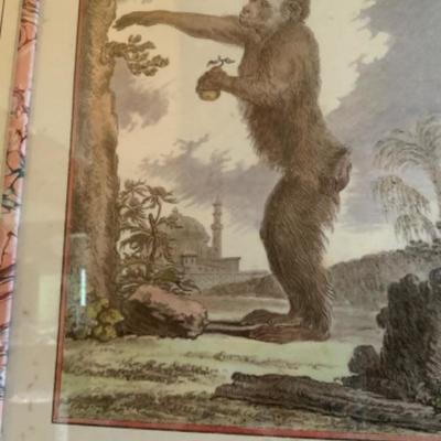 PAIR OF BEAUTIFULLY FRAMED FRENCH MONKEY PRINTS