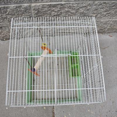 Green & White Bird Cage