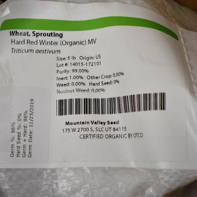 Hard Red Winter Wheat Seeds - 5 Lbs - Non-GMO, Organic Grain & Wheat Grass Seeds