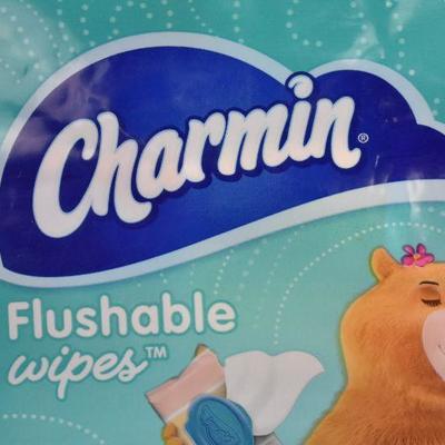 Charmin Flushable Wipes, 4 packs of 40 wipes, 160 wipes total - New