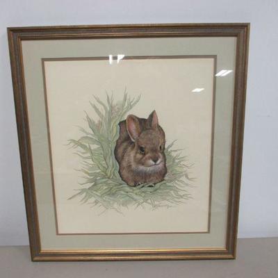 Lot 1 - Rabbit Laying In Grass Picture - Signed By Artist 