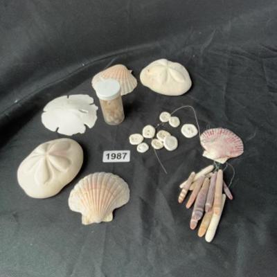 Bag of various seashells and sand dollars lot 1987