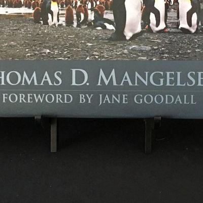 The Natural World large award winning coffee table photo book by Thomas D Mangelsen plus cloth cover. Item #17