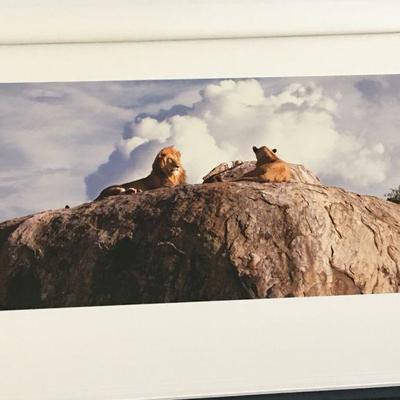 The Natural World large award winning coffee table photo book by Thomas D Mangelsen plus cloth cover. Item #17