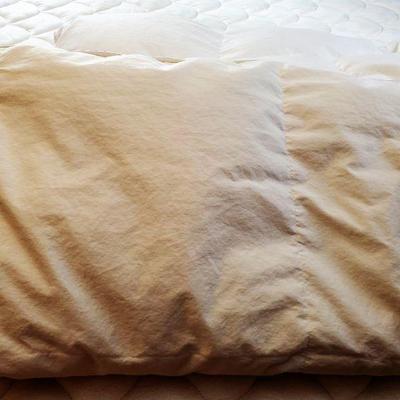 White Down Comforter (Queen)