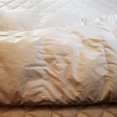 White Down Comforter (Queen)