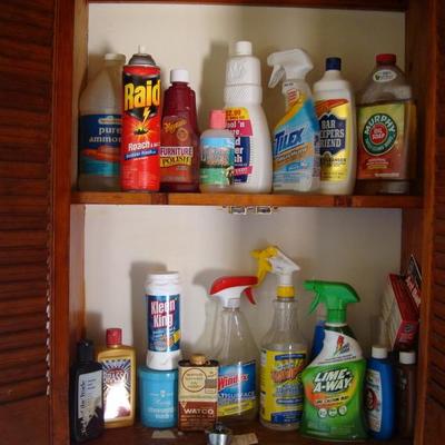 K 118 - Various Household Chemicals/Cleaners