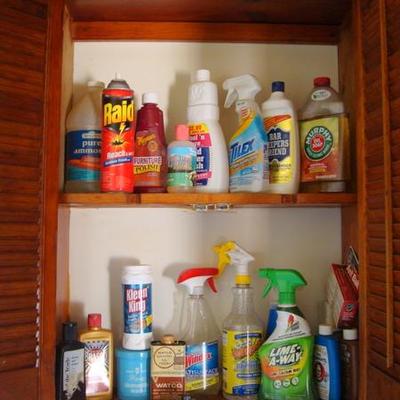 K 118 - Various Household Chemicals/Cleaners