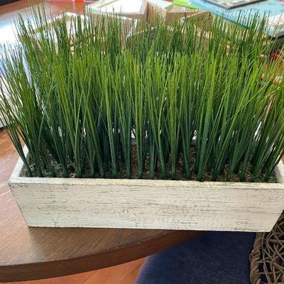 Plant - Grass in White Box (artificial) 2