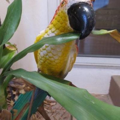 P 102 - Outdoor Tiki & Plant Lot