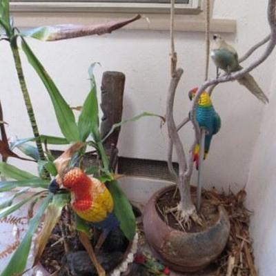 P 102 - Outdoor Tiki & Plant Lot