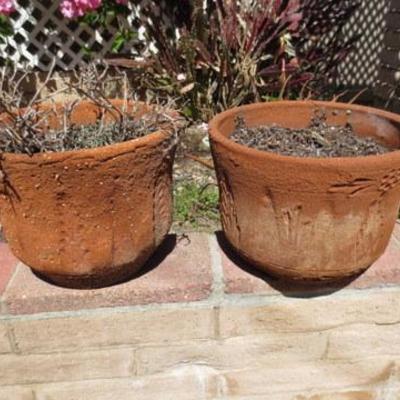 P 105 - (2) Terracotta Outdoor Planters