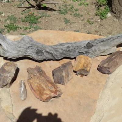 P 108 - Driftwood 35.5" long & Petrified Wood