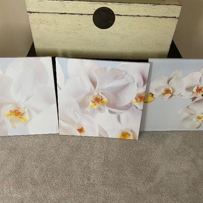 Art - Orchid/White set of 3