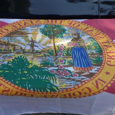 Large State of Florida Flag