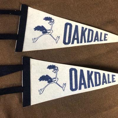 #86 2 Oakdale Roadrunner felt pennants