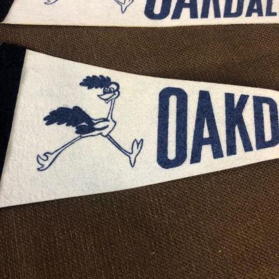 #86 2 Oakdale Roadrunner felt pennants