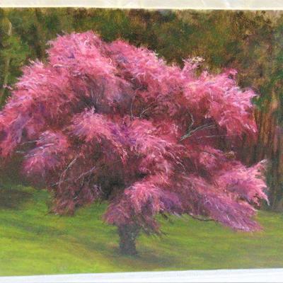 Oil painting of pink blooming tree by Alison Webb