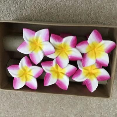 6 pc napkin ring set - Hawaiian flowers 