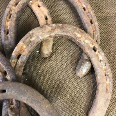 #201 Rusty HORSE SHOES 
