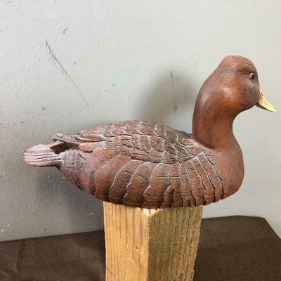 #252 Canvas Back Resin Duck 