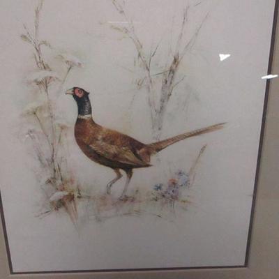 Lot 127 - Wood Grouse & Pheasant Pictures