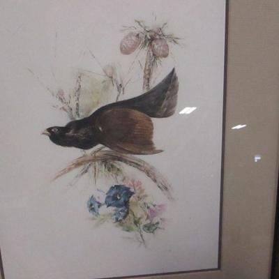Lot 127 - Wood Grouse & Pheasant Pictures