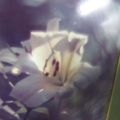 Lot 138 - Picture Of A Flower
