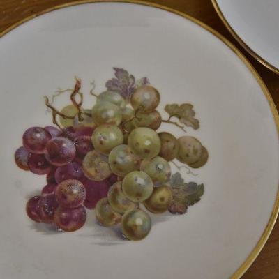 P Lot 144: Kuba Prozellan Bavara Germany Fruit Plates