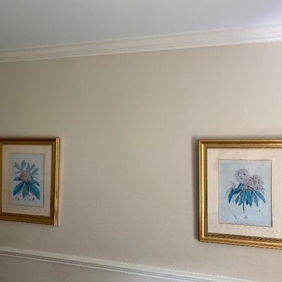 Lot # 269 Pair of Botanical Rhododendron Prints 