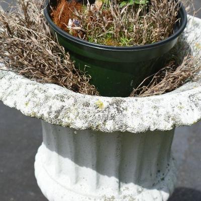 Outside: Cement Planter