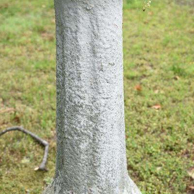 Outside: Sundial